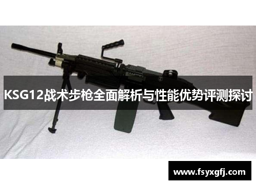 KSG12战术步枪全面解析与性能优势评测探讨 KSG12战术步枪全面解析与性能优势评测探讨